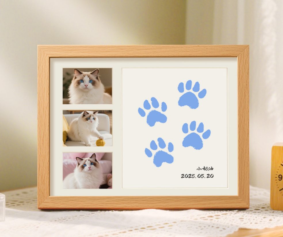 Cat Paw Print Keepsake Kit